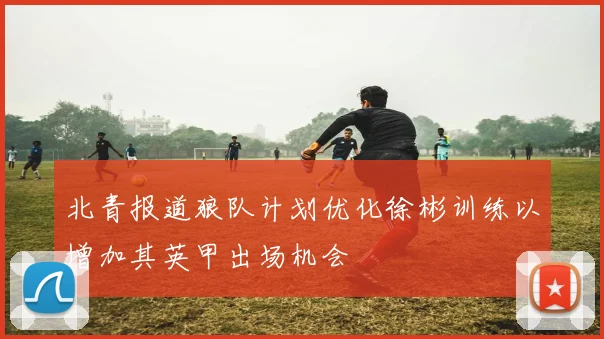 北青报道狼队计划优化徐彬训练以增加其英甲出场机会