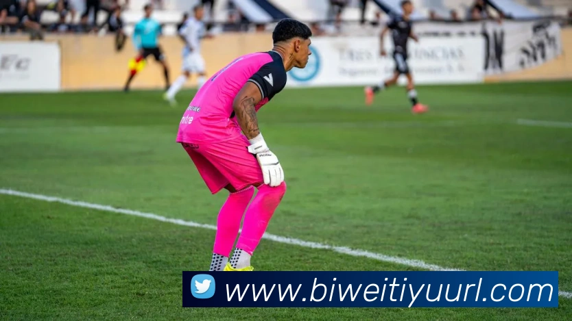 必威体育平台生态图