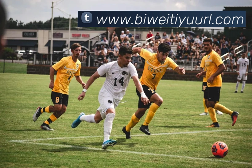 必威体育APP 封面图